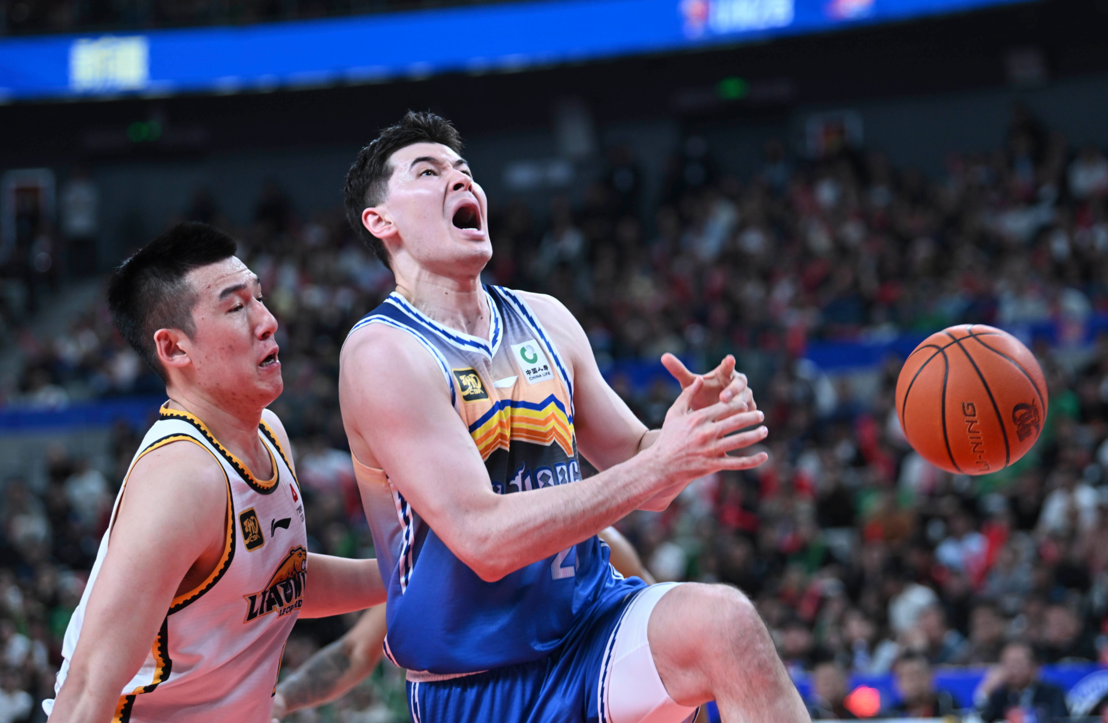 北京队完胜辽宁队，胡金秋带队取胜