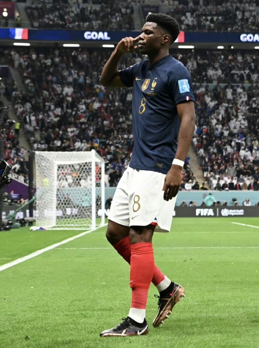 法国险胜奥地利,楚阿梅尼高光表现 法国险胜奥地利,楚阿梅尼高光表现