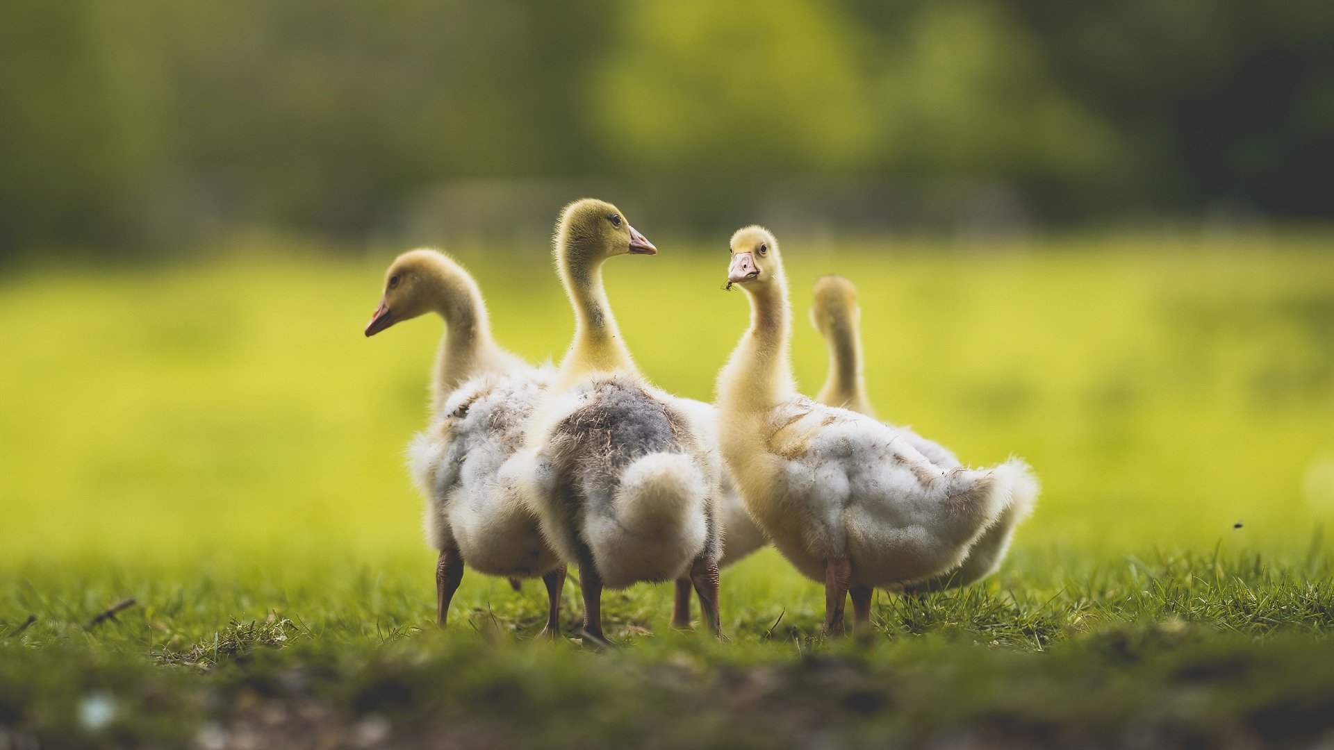 战术完胜与关键先生，比利亚雷亚尔稳扎稳打击溃莱比锡，京多安一锤定音
